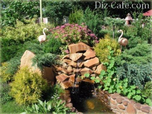 Камни для горки альпийской. Камни и растения для альпинария 10 Камни для горки альпийской. Камни и растения для альпинария 10