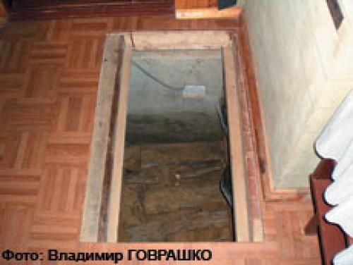 Погреб в доме плюсы и минусы. Какими они бывают
