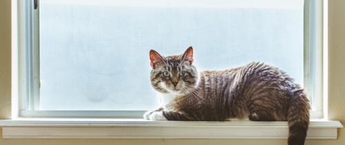 Регулировка прижима окна. Правила регулировки прижима 07 Регулировка прижима окна. Правила регулировки прижима 07