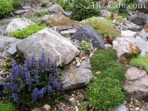 Камни для горки альпийской. Камни и растения для альпинария 09 Камни для горки альпийской. Камни и растения для альпинария 09
