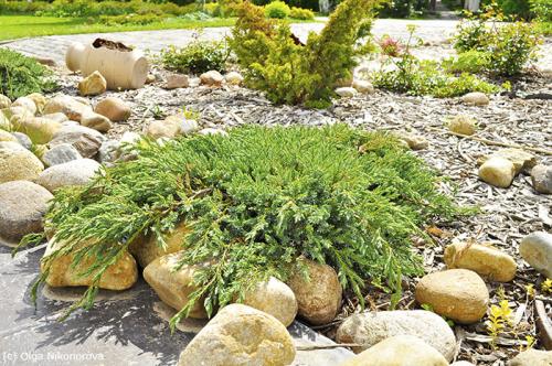 Камни для горки альпийской. Камни и растения для альпинария 02 Камни для горки альпийской. Камни и растения для альпинария 02