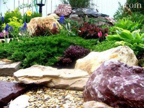Камни для горки альпийской. Камни и растения для альпинария 14 Камни для горки альпийской. Камни и растения для альпинария 14