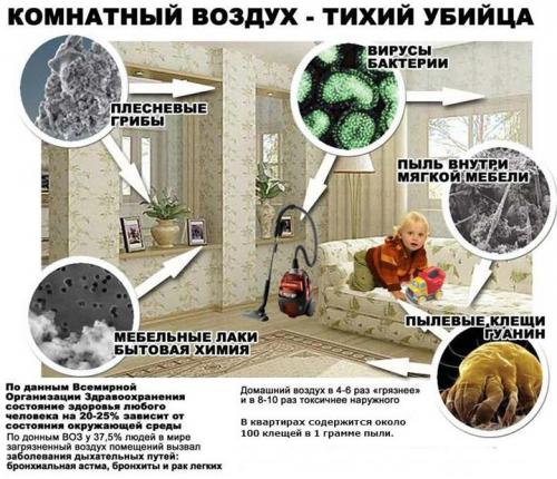 Увлажнитель воздуха обзор 2019. Рейтинг увлажнителей воздуха для квартиры на 2019 год 20