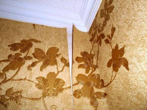 Плесень в углах дома. Плесень на стенах и в углах панельного дома: что делать