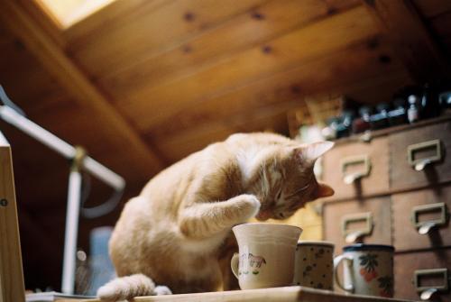 Домашний уют 03