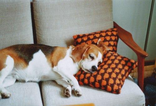 Домашний уют 07