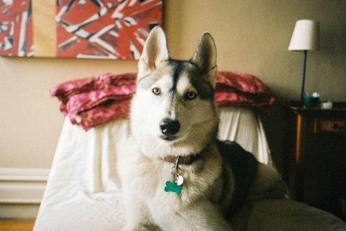 Домашний уют 05