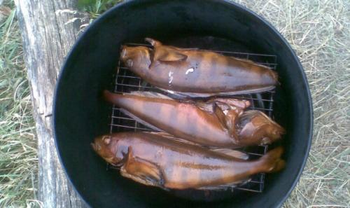 Коптильня горячего копчения своими руками. Коптильня своими руками — инструкция для начинающих. Как сделать коптильню холодного и горячего копчения?