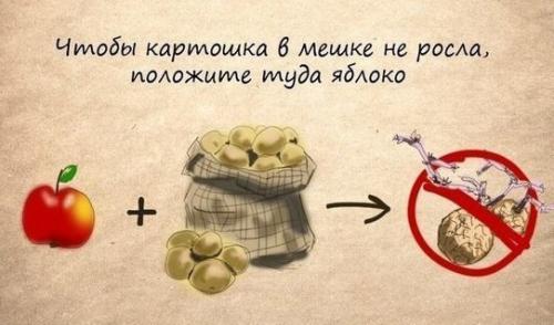 10 домашних хитростей на все случаи жизни 03