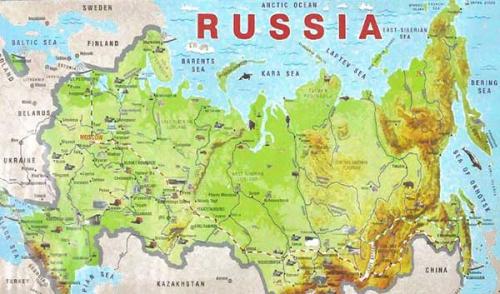 Когда осенью можно сажать деревья плодовые. Когда сажать плодовые деревья осенью: оптимальные сроки