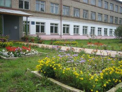 Проект озеленения. Определяющие факторы для проекта озеленения участка 02