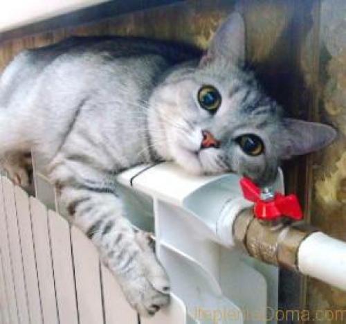 Что делать если одна батарея холодная. Наиболее распространенные проблемы с радиаторами отопления 01 Что делать если одна батарея холодная. Наиболее распространенные проблемы с радиаторами отопления 01