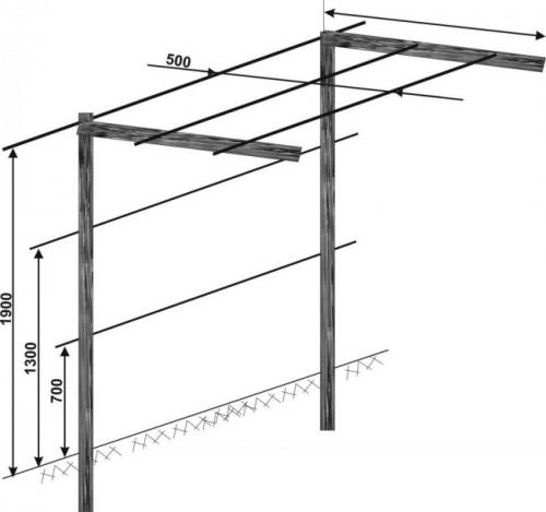 Лучшие опоры для винограда. Двухрядная