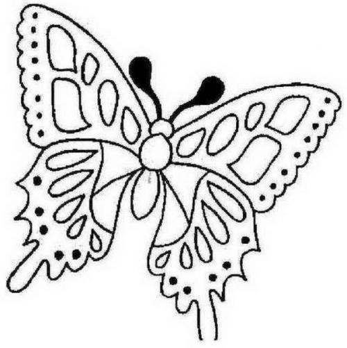 Бабочки из пластиковых бутылок пошагово. Сверкающая бабочка из пластиковой бутылки