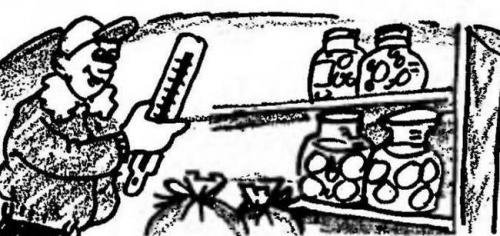 Система регулирования температуры в погребе. Печатная плата терморегулятора