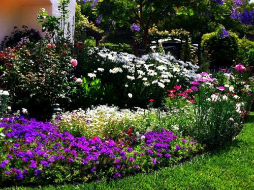 Как оформить клумбы для цветов своими руками. Клумба своими руками — роскошные идеи дизайнеров и советы по дизайну и оформлению (105 фото)