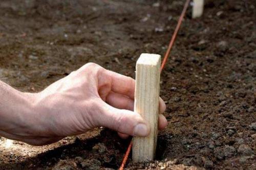 Маленький дачный участок, как оформить клумбы с цветами. Особенности создания красивых клумб на участке