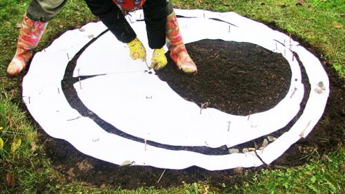 Маленький дачный участок, как оформить клумбы с цветами. Особенности создания красивых клумб на участке