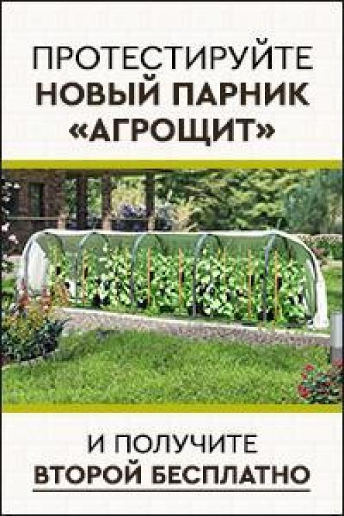 Сад для начинающих. Руководство для садовых чайников