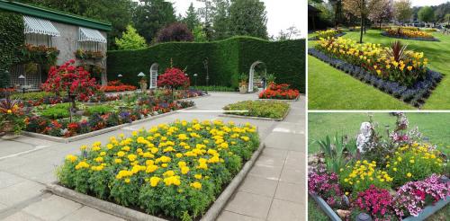 Цветники в саду. Цветники и клумбы на даче (фото)