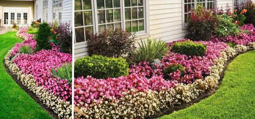 Цветники в саду. Цветники и клумбы на даче (фото)