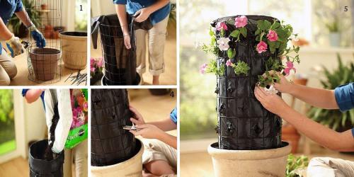 Цветники в саду. Цветники и клумбы на даче (фото)