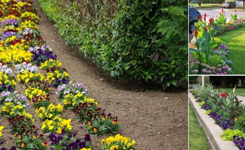 Цветники в саду. Цветники и клумбы на даче (фото)