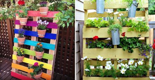 Цветники в саду. Цветники и клумбы на даче (фото)