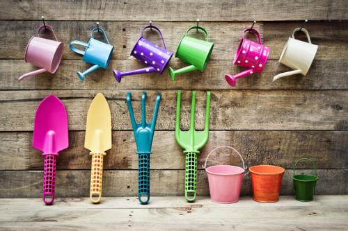 Сад для начинающих. Руководство для садовых чайников