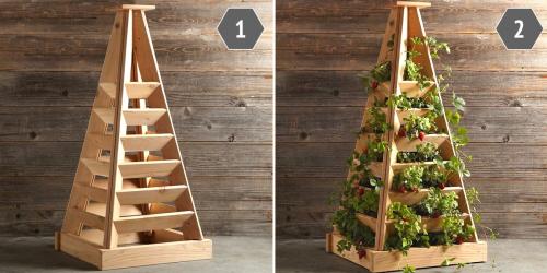 Цветники в саду. Цветники и клумбы на даче (фото)