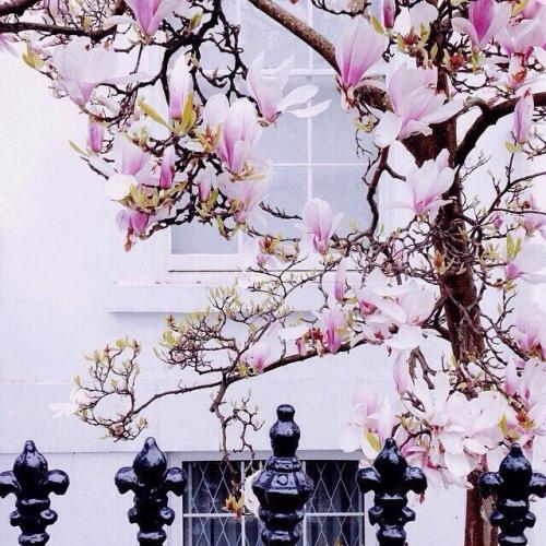 Весенний Лондон, Англия 04