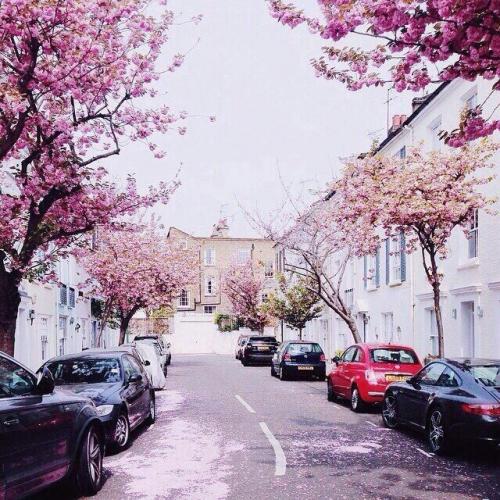 Весенний Лондон, Англия 01