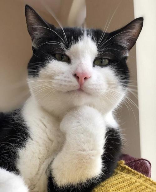 Друзья, которые всегда тебя выслушают 04