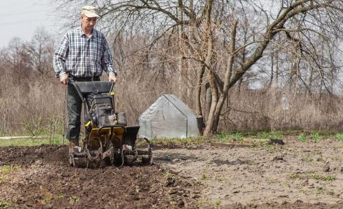 Как привести в порядок заброшенный участок. Как привести в порядок запущенный участок, инструкция и советы опытных дачников