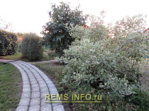 Тротуарная плитка для дачи своими руками. Садовая дорожка своими руками при помощи форм: подготовка формы, отливка плиток, укладка и уход 01