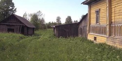 С чего начать работы на очень запущенном участке? С чего начать осваивать участок? Есть идеи, но сработают ли? 01