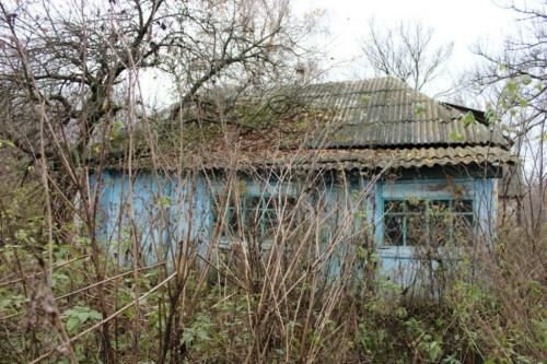 Как привести в порядок заброшенный участок. Как привести в порядок запущенный участок, инструкция и советы опытных дачников