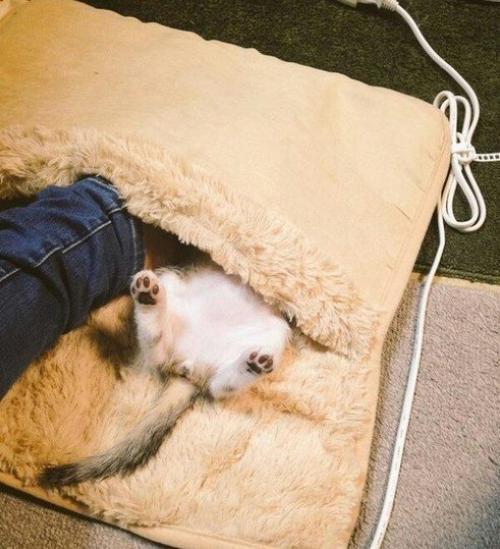 Решил я купить себе обогреватель для ног… 04