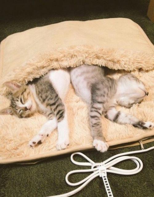 Решил я купить себе обогреватель для ног… 02