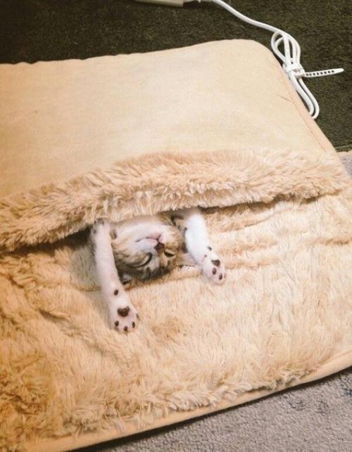 Решил я купить себе обогреватель для ног… 01