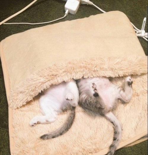 Решил я купить себе обогреватель для ног… 03