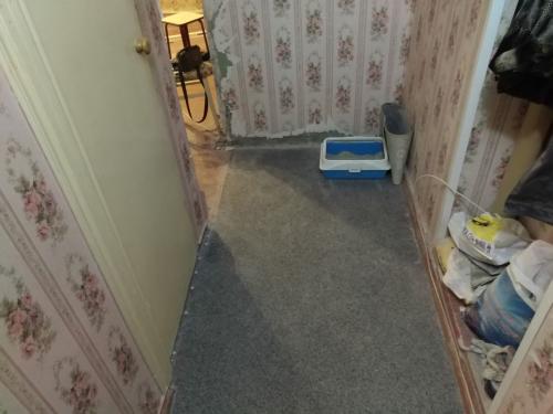 Ремонт в коридоре косметический. Бюджетный ремонт в прихожей [5 хитрых приемов]