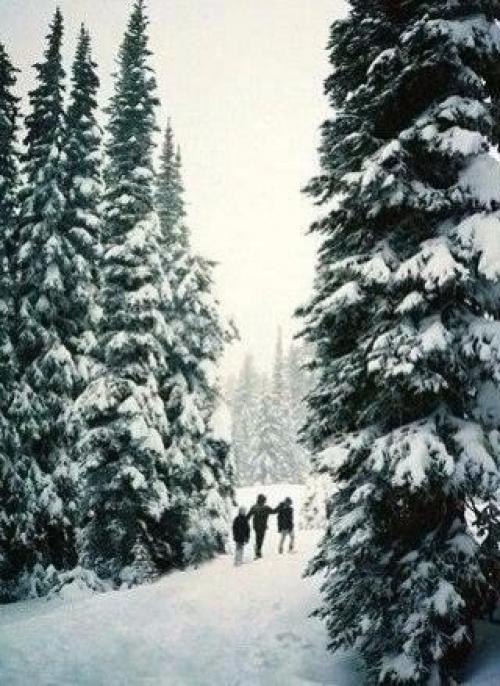 Зимние пейзажи - великолепны! 05