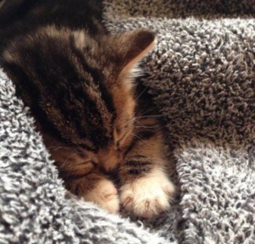 Зимний домашний уют 05