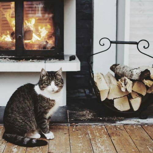 Зимнее вдохновение 01