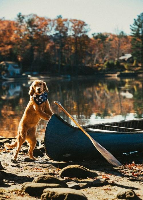 Осенью тоже можно отдыхать на природе! 01