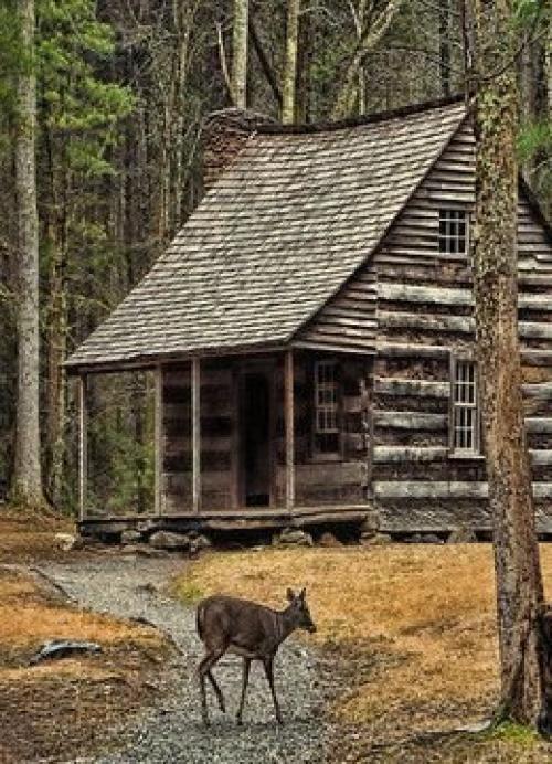 Осенью тоже можно отдыхать на природе! 02