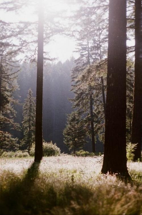 Осенью тоже можно отдыхать на природе! 04