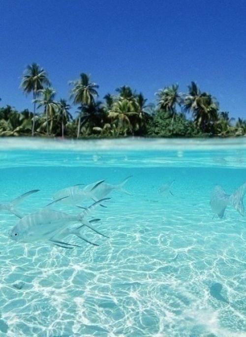 Как же сейчас хочется на море! 03