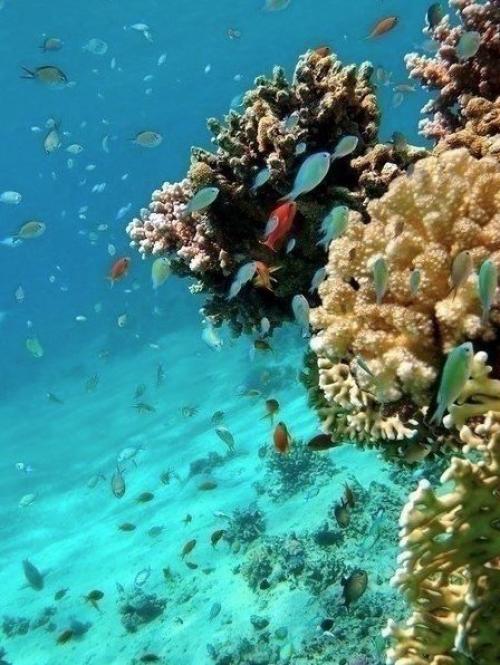 Как же сейчас хочется на море! 01